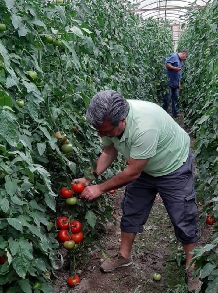 Üreticiden sofraları gıda desteği projesi